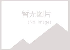 鹤岗兴山曹植培训有限公司